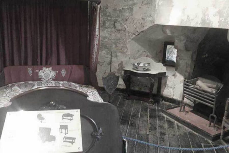 caldicot-castle-6