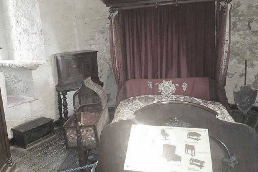 caldicot-castle-8